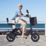 48V 350W Folding Electric Tricycle for Adults