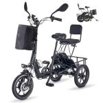 350W Folding Electric Trike for Adults, 2 Seats