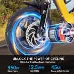 350W Folding Electric Trike with Removable Battery