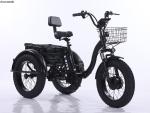 20" Folding Electric Tricycle with Fat Tires