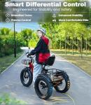 KAKIGO Adult Electric Tricycle with 1350W Motor