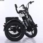 20" Folding Electric Tricycle with Fat Tires