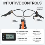 250W Electric Tricycle with Dual Battery and Basket