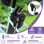 NAIZEA 24" Adult Electric Trike with Removable Battery