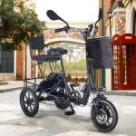 350W Folding Electric Trike for Adults, 2 Seats