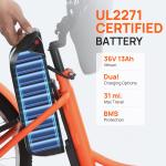 250W Electric Tricycle with Dual Battery and Basket