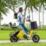 350W Folding Electric Trike with Removable Battery
