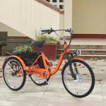 250W Electric Tricycle with Dual Battery and Basket