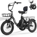 Elecby Adult Electric Trike with 1200W Motor