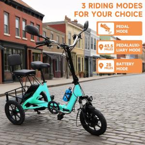 Folding Electric Tricycle 48V 350W E-Bike