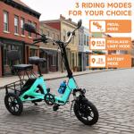 Folding Electric Tricycle 48V 350W E-Bike