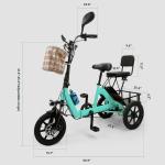 Folding Electric Tricycle 48V 350W E-Bike