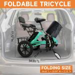 Folding Electric Tricycle 48V 350W E-Bike