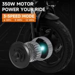 Folding Electric Tricycle 48V 350W E-Bike