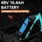 Folding Electric Tricycle 48V 350W E-Bike