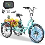 SLSY 24" Electric Trike with Removable Battery