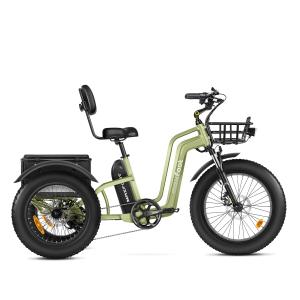 MAXFOOT MF32 750W Electric Tricycle with Fat Tires