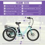SLSY 24" Electric Trike with Removable Battery