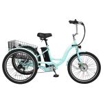 NAIZEA 24" Adult Electric Tricycle with Basket