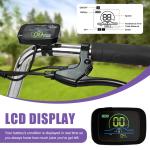 SLSY 24" Electric Trike with Removable Battery