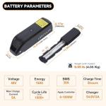 Hailong Electric Bike Battery with Fast Charger