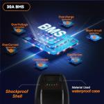 Hailong Electric Bike Battery with Fast Charger