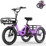 MOONCOOL 20" Folding Electric Trike for Adults