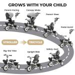 6-in-1 Kids Tricycle with Adjustable Handle and Canopy