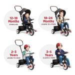Radio Flyer Premium Black Stroll 'N Trike