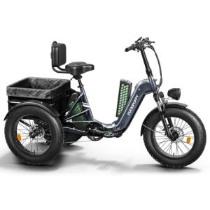 Adult Electric Tricycle with 110-Mile Range