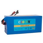 36V Lithium Battery Pack for Electric Bikes