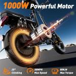Z1 Folding Electric Bike, 48V 20Ah Battery, 25MPH
