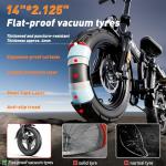 Z1 Folding Electric Bike, 48V 20Ah Battery, 25MPH