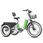 ADDMOTOR 750W Electric Trike, Fat Tire, Dual Battery