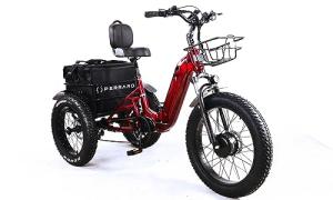 Perraro Polar Foldable Electric Trike, 750W Motor, Grocery Bag