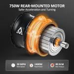 ADDMOTOR 750W Electric Trike, Fat Tire, Dual Battery