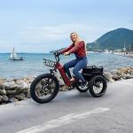 Perraro Polar Foldable Electric Trike, 750W Motor, Grocery Bag