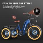 ADDMOTOR 750W Electric Trike, Fat Tire, Dual Battery