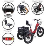 Perraro Polar Foldable Electric Trike, 750W Motor, Grocery Bag