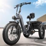 Adult Electric Trike with 750W Motor, 48V Battery