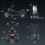 eAhora M1P 2000W Electric Trike for Adults