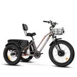 ADDMOTOR M-350 Electric Trike, 85MI, 450lbs, 750W, GRAY