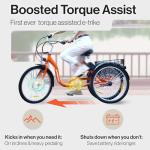 SuperHandy Electric Tricycle EcoRide: 3 Modes, 250W Motor