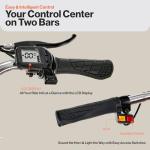 SuperHandy Electric Tricycle EcoRide: 3 Modes, 250W Motor