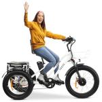 MALISA Electric 3-Wheel Trike for Adults, Long Range