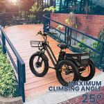 MALISA Electric 3-Wheel Trike for Adults, Long Range
