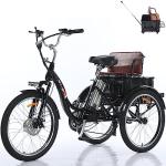 SDLLG 24in Electric Trike with 350W Motor