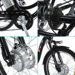SDLLG 24in Electric Trike with 350W Motor
