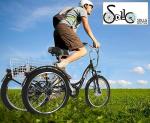 SDLLG 24in Electric Trike with 350W Motor