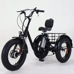 500W Electric Trike with Fat Tires and 48V Battery